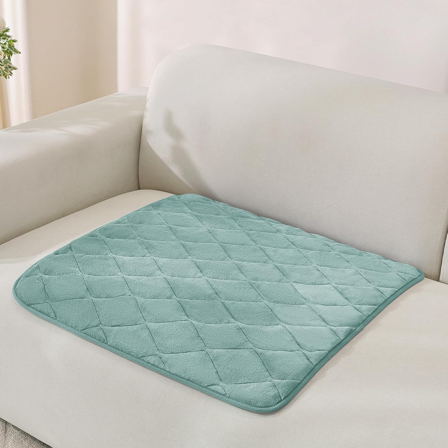 Fuzzy Pet Couch Covers for Dogs Washable, Non Slip Couch Covers for 2 Cushion Couch Pet Friendly, Thick Soft Loveseat Covers, Dog Couch Cover Protector Couches Mat (27.6" X 59", Beige)